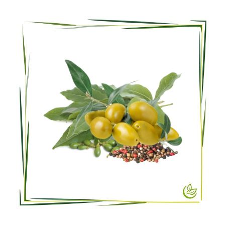 Parfümöl Spices & Olive